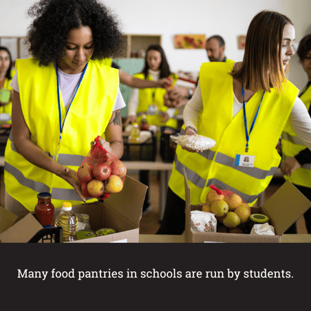 Food pantries in schools